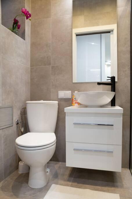 Shy But Shining! Lovely, Stylish & Fully Equipped. Apartman Krakkó Kültér fotó